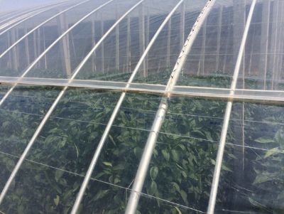 点击查看详细信息<br>标题：PO膜 阅读次数：7918