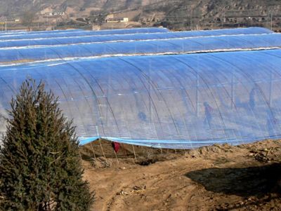 点击查看详细信息<br>标题：灌浆膜使用案例 阅读次数：10919