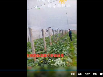 点击查看详细信息<br>标题：金鹏高保温膜大姐看效果吧 阅读次数：949